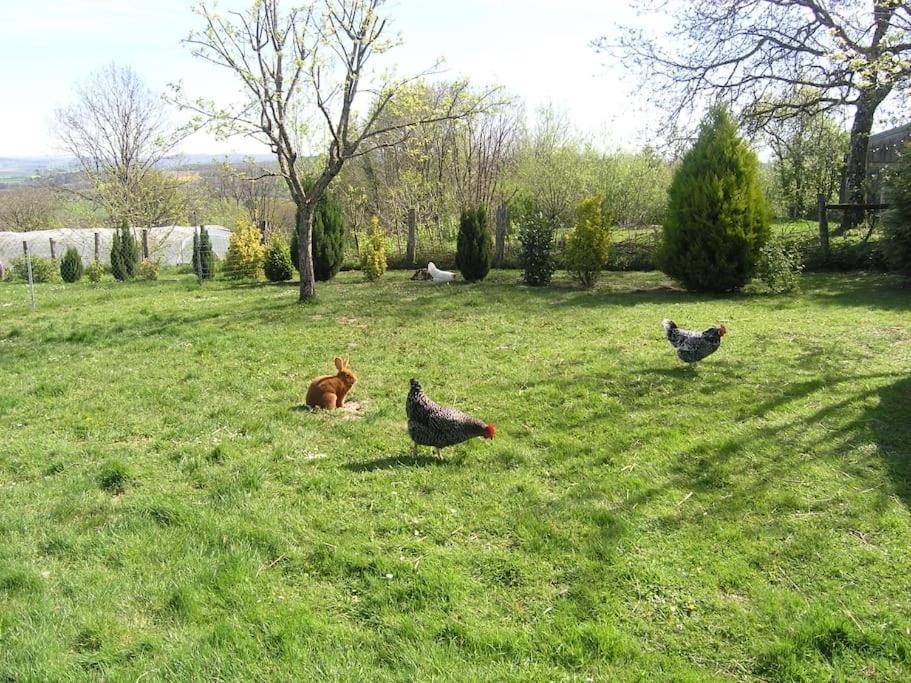 Les Jardins Des 3 Provinces- Gite Montcharvot Exterior foto
