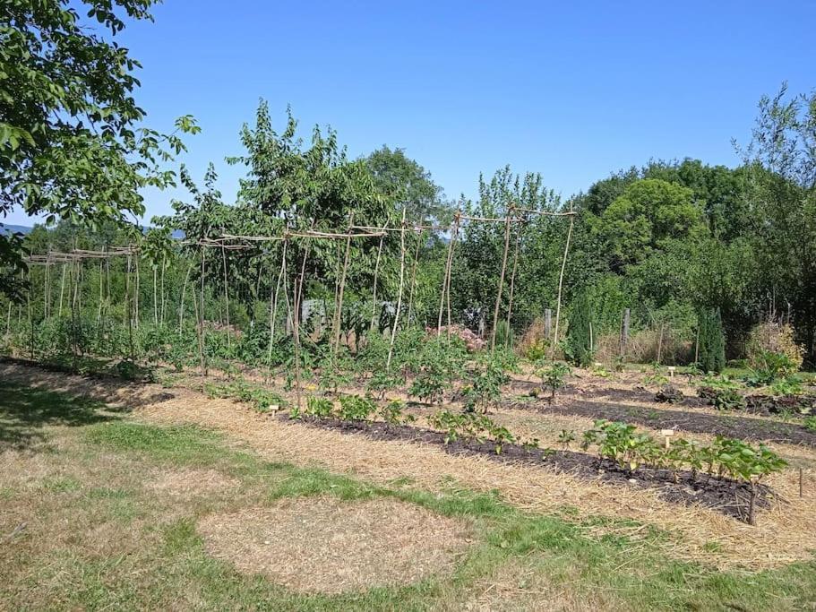 Les Jardins Des 3 Provinces- Gite Montcharvot Exterior foto
